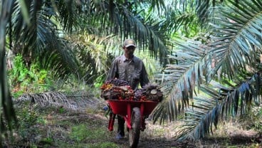 Emiten Crazy Rich Medan (STAA) Panen Cuan Usai Akuisisi Lahan