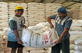 Angin Segar untuk Petani, Alokasi Pupuk Subsidi di Sumsel Meningkat
