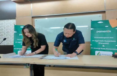 Sinergi Gula Nasional Gandeng Platform Penyedia KUR & Sarana Produksi