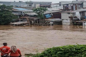 Fakta-fakta Leptospirosis, Penyakit di Musim Banjir…