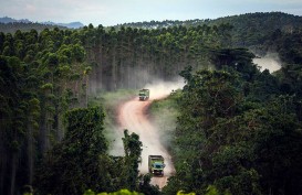 Tender Selesai, Kontrak Proyek Istana Presiden di IKN Diteken Pekan ini