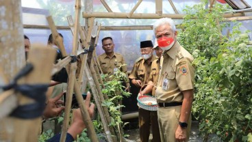 Lumbung Pangan Desa Rintisan Ibu-ibu Menunjukkan Hasil