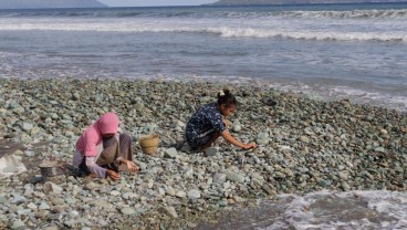 Jelajah Sinyal: Pengepul Batu Laut Ende Harapkan Pelatihan Literasi Digital