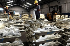 PT Timah (TINS) Beri Penjelasan Soal Temuan BPK Terkait…