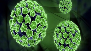 Kenali Apa Itu HPV, Virus Penyebab Berbagai Jenis Kanker