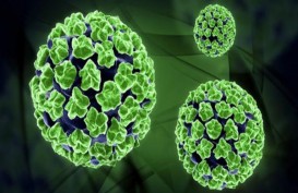 Kenali Apa Itu HPV, Virus Penyebab Berbagai Jenis Kanker