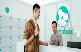 Bobobox Ekspansi Bisnis Penginapan di Tiga Lokasi, Mana Saja?
