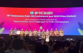 IPOC 2022: Potensi Industri Sawit Jadi 'Penyelamat' Ekonomi RI