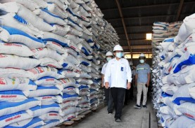 Petrokimia Gresik Kaji Rencana Pembangunan Pabrik…