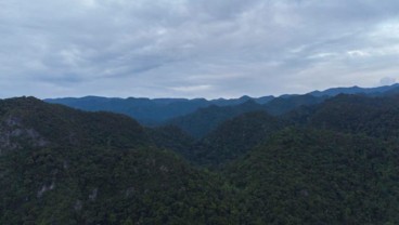 Kenapa Disebut Bukit Barisan? Ini Kekayaan yang Terkandung di Sumatra