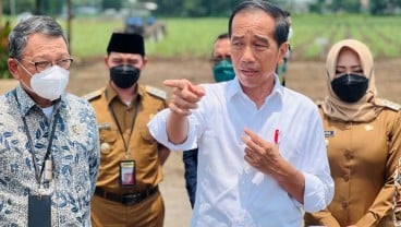 Jokowi Telepon Zelensky Bahas Situasi Ukraina Hingga Black Sea Grain Initiative