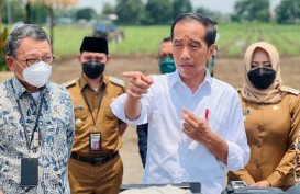 Jokowi Telepon Zelensky Bahas Situasi Ukraina Hingga Black Sea Grain Initiative
