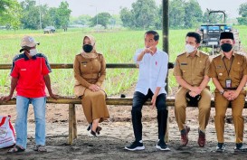 Menuju Swasembada Gula, Jokowi Targetkan 700.000 Hektare Lahan Tebu Tersedia