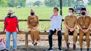 Menuju Swasembada Gula, Jokowi Targetkan 700.000 Hektare Lahan Tebu Tersedia