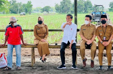 Menuju Swasembada Gula, Jokowi Targetkan 700.000 Hektare Lahan Tebu Tersedia