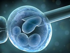 Apa Itu Terapi Stem Cell dan Kontroversinya