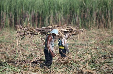 Gubernur Khofifah Sebut Jatim Punya Potensi Besar Pengembangan Industri Bioetanol Tebu