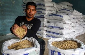 Perajin Tahu Tempe Usul Subsidi Kedelai Rp3.000 Per Kg, Pemerintah Setuju?