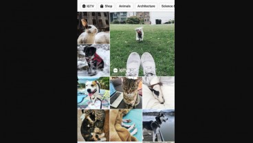 Pengguna Keluhkan Explore Instagram Banyak Konten Vulgar, Meta Jelaskan Hal Ini