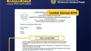 Cara Mendapatkan EFIN dengan Mudah dan Cepat, Bisa Lewat Online