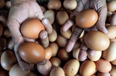 Harga Pangan Hari Ini 9 November: Telur, Cabai, Bawang Kompak Turun