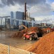 Pemerintah Targetkan Biomassa Berbasis Kayu untuk Transisi Energi