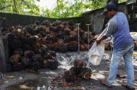 Indonesia Dorong Penerapan Industri Sawit Berkelanjutan,…