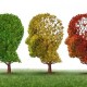 Mengupil dapat Sebabkan Alzheimer, Kok Bisa?