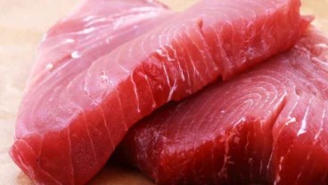 PT Perindo Ekspor 10,8 Ton Ikan Tuna ke Jepang