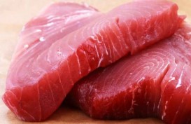 PT Perindo Ekspor 10,8 Ton Ikan Tuna ke Jepang