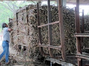 Investor Strategis Sugar Co, Wilmar atau Gama Masuk?