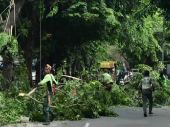 Cegah Pohon Tumbang, Distamhut DKI Jakarta Lakukan Penopingan di 5 Wilayah