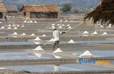 Kejagung Ungkap Peluang Tersangka Korporasi di Kasus Impor Garam Industri