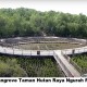 Jokowi Tiba di Mangrove Tahura Bali, Siap Jamu Pemimpin Negara G20