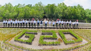 Momen Jokowi dan Pemimpin G20 Tanam Mangrove Pakai Cangkul