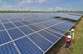 Indonesia Diminta Manfaatkan Peluang Investasi Energi Hijau dari PGII