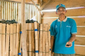 PEP Lirik Dukung Petani di Masa Pandemi, Jadi Tujuan…