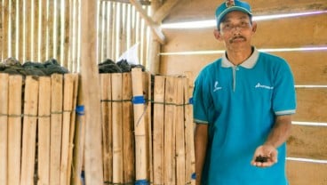 PEP Lirik Dukung Petani di Masa Pandemi, Jadi Tujuan Agrowisata