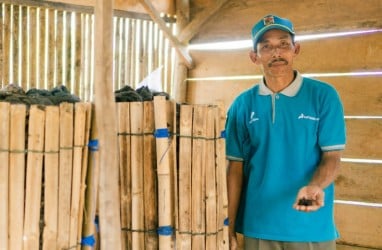 PEP Lirik Dukung Petani di Masa Pandemi, Jadi Tujuan Agrowisata