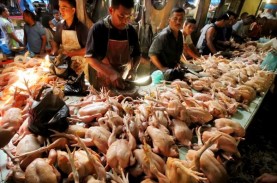 Harga Pangan Hari Ini 18 November: Daging Ayam dan…