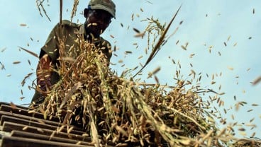 Bulog Kesulitan Serap Beras dari Petani, Ini Penjelasan Kementan