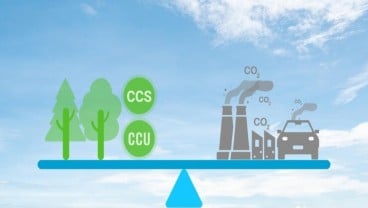 McKinsey: RI Punya Potensi Besar Kembangkan Bisnis Penyimpanan Karbon