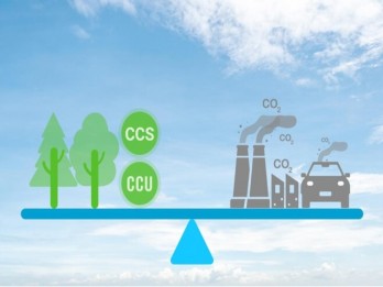 McKinsey: RI Punya Potensi Besar Kembangkan Bisnis Penyimpanan Karbon