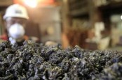 Peluang Kecil nan Berisiko Bagi Indonesia dari Putusan Nikel WTO