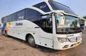 Naik DAMRI Jakarta-Surabaya Cuma Rp76.000, Ini Cara Belinya