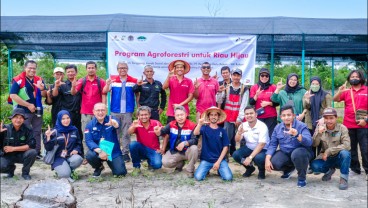 PHR Kembangkan Agroforestri Tingkatkan Perekonomian