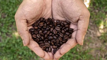 Telkom (TLKM) Ciptakan Blockchain Produk Kopi di Metaverse