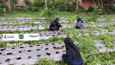 Cetak Regenerasi Petani, Pupuk Kujang Libatkan Mahasiswa dalam Program Makmur