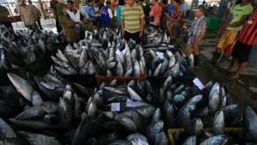 OPINI : Penangkapan Ikan Terukur vs Berdikari