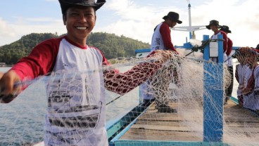 Opini: Penangkapan Ikan Berdikari